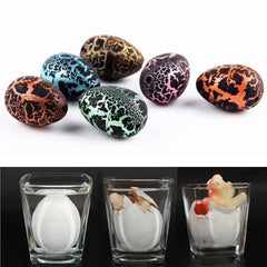 Magic Hatching Dinosaur Eggs Toy