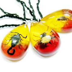 Rare Real Animal Tear Drop Clear Pendant