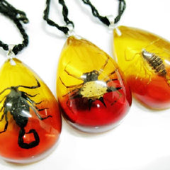 Rare Real Animal Tear Drop Clear Pendant