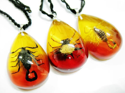 Rare Real Animal Tear Drop Clear Pendant