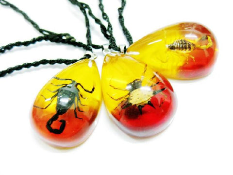Rare Real Animal Tear Drop Clear Pendant