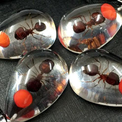 Real Red Bean & Ant Drop Pendant Necklace