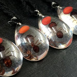 Real Red Bean & Ant Drop Pendant Necklace