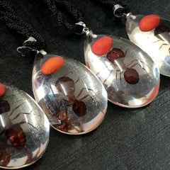 Real Red Bean & Ant Drop Pendant Necklace