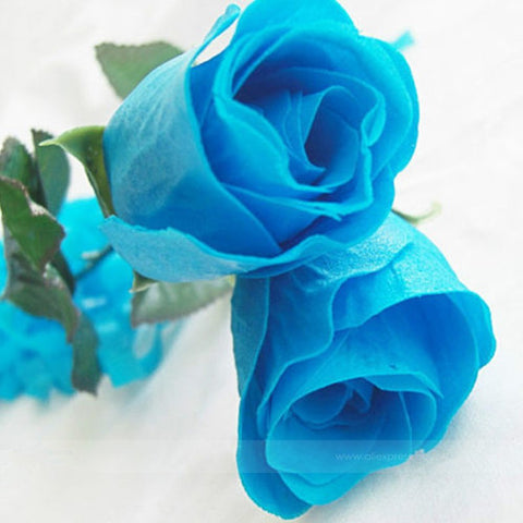 Romantic DIY Bonsai Rose Seeds
