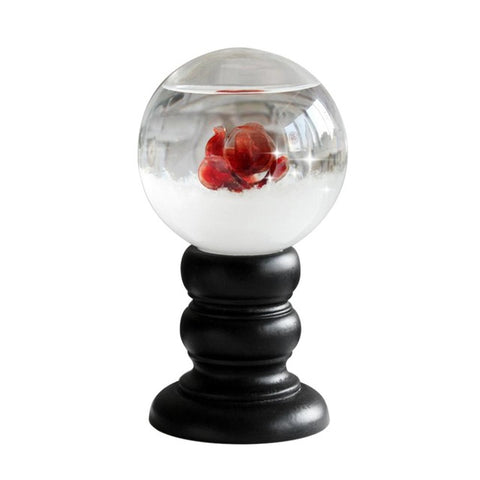 Lovely Shapes Crystal Glass Weather Forecast